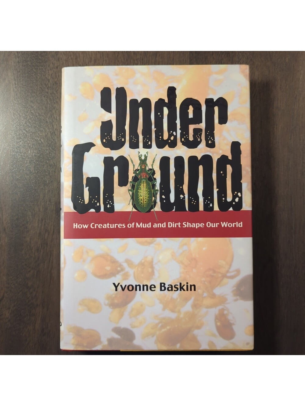 Under Ground: How Creatures of Mud and Dirt Shape Our World by Yvonne Baskin